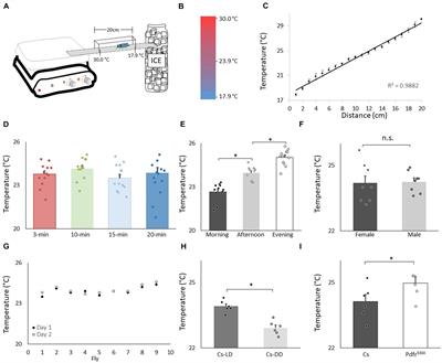 Sleep deprivation, sleep fragmentation, and social jet lag increase temperature preference in Drosophila